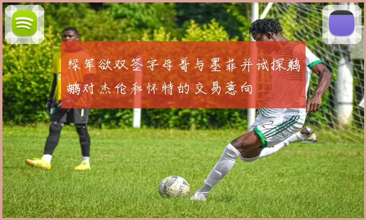 绿军欲双签字母哥与墨菲并试探鹈鹕对杰伦和怀特的交易意向