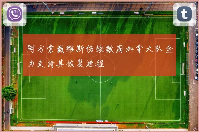 阿方索戴维斯伤缺数周加拿大队全力支持其恢复进程